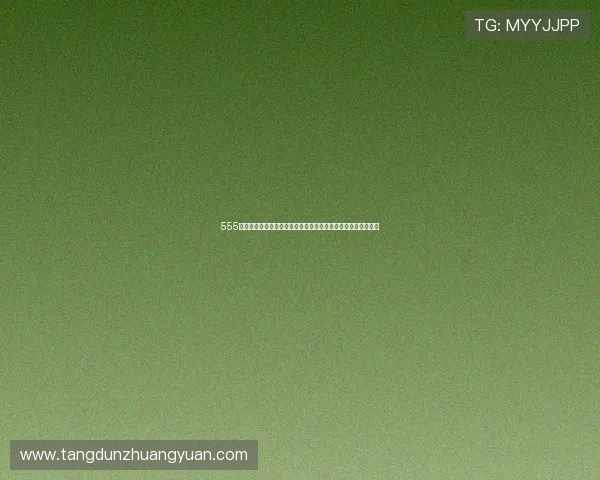 555高清免费直播平台，畅享高清精彩内容，实时互动体验不容错过